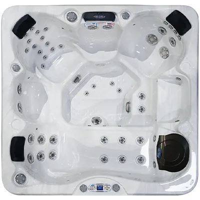 Avalon EC-849L hot tubs for sale in Burlington